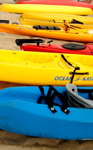 kayaks